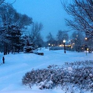 Meet your Posher, Heidy